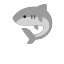 Shark White