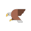 Aigle