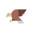 Aigle